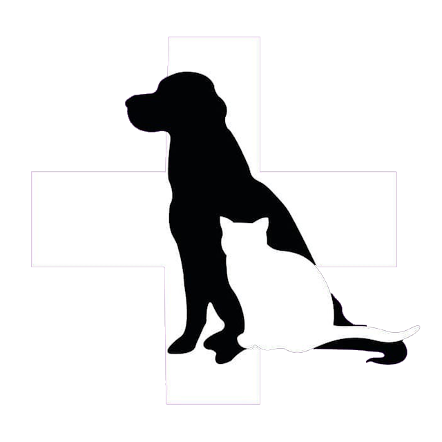 imagen de logo